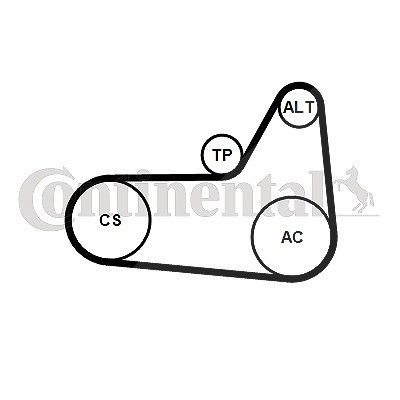 Continental Ctam Keilrippenriemensatz [Hersteller-Nr. 6PK1180K4] für Volvo von CONTINENTAL CTAM