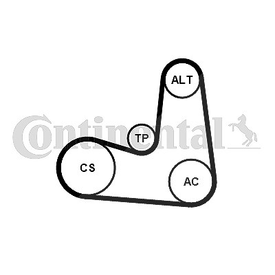 Continental Ctam Keilrippenriemensatz [Hersteller-Nr. 6PK1180K5] für Volvo von CONTINENTAL CTAM