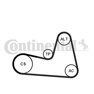 Continental Ctam Keilrippenriemensatz [Hersteller-Nr. 6PK1200K2] für Dacia, Nissan, Renault von CONTINENTAL CTAM