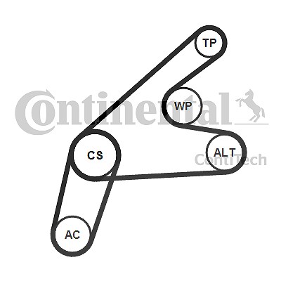 Continental Ctam Keilrippenriemensatz [Hersteller-Nr. 6PK1306K3] für Ford, Volvo von CONTINENTAL CTAM