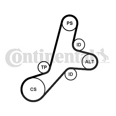 Continental Ctam Keilrippenriemensatz [Hersteller-Nr. 6PK1345K1] für Citroën, Ford, Mazda, Peugeot von CONTINENTAL CTAM