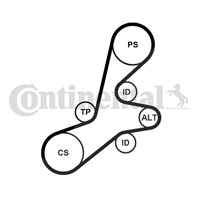 Continental Ctam Keilrippenriemensatz [Hersteller-Nr. 6PK1352K1] für Citroën, Peugeot von CONTINENTAL CTAM