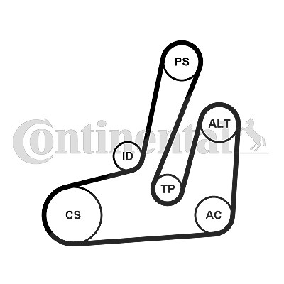 Continental Ctam Keilrippenriemensatz [Hersteller-Nr. 6PK1390K1] für Citroën, Fiat, Peugeot von CONTINENTAL CTAM