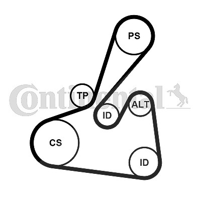 Continental Ctam Keilrippenriemensatz [Hersteller-Nr. 6PK1502EXTRAK2] für Ford von CONTINENTAL CTAM