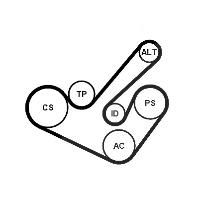 Continental Ctam Keilrippenriemensatz [Hersteller-Nr. 6PK1555K9] für VW von CONTINENTAL CTAM