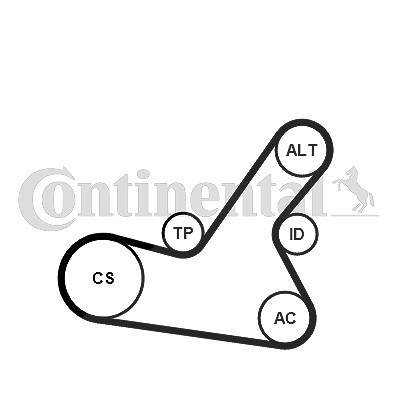 Continental Ctam Keilrippenriemensatz [Hersteller-Nr. 6PK1564K2] für Citroën, Peugeot von CONTINENTAL CTAM