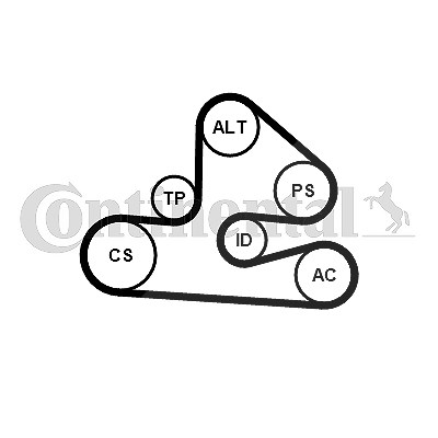 Continental Ctam Keilrippenriemensatz [Hersteller-Nr. 6PK1570K1] für Audi, Seat von CONTINENTAL CTAM