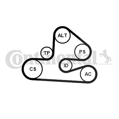 Continental Ctam Keilrippenriemensatz [Hersteller-Nr. 6PK1590K1] für Audi von CONTINENTAL CTAM