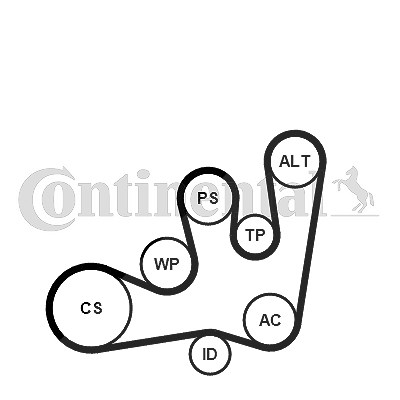 Continental Ctam Keilrippenriemensatz [Hersteller-Nr. 6PK1642K1] für Renault, Volvo von CONTINENTAL CTAM