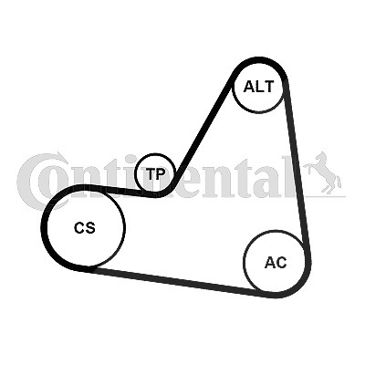 Continental Ctam Keilrippenriemensatz [Hersteller-Nr. 6PK1680K1] für Citroën, Peugeot von CONTINENTAL CTAM