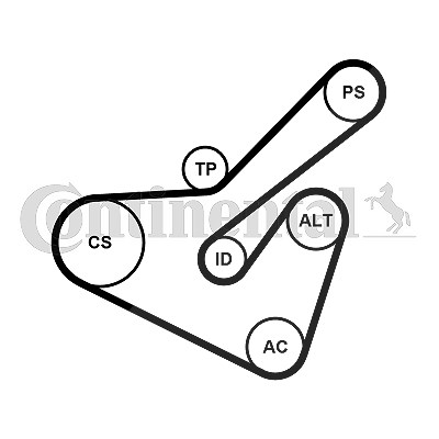 Continental Ctam Keilrippenriemensatz [Hersteller-Nr. 6PK1725K2] für Peugeot, Citroën von CONTINENTAL CTAM