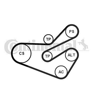 Continental Ctam Keilrippenriemensatz [Hersteller-Nr. 6PK1740K3] für Citroën, Peugeot von CONTINENTAL CTAM