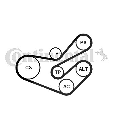 Continental Ctam Keilrippenriemensatz [Hersteller-Nr. 6PK1750K3] für Peugeot, Citroën von CONTINENTAL CTAM