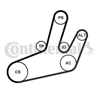 Continental Ctam Keilrippenriemensatz [Hersteller-Nr. 6PK1780K1] für Renault von CONTINENTAL CTAM