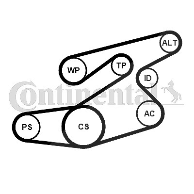 Continental Ctam Keilrippenriemensatz [Hersteller-Nr. 6PK1836K1] für BMW von CONTINENTAL CTAM