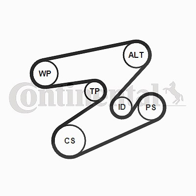 Continental Ctam Keilrippenriemensatz [Hersteller-Nr. 6PK1893K1] für BMW von CONTINENTAL CTAM