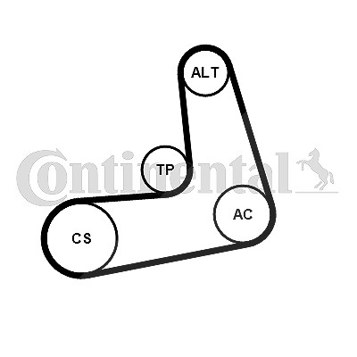 Continental Ctam Keilrippenriemensatz [Hersteller-Nr. 6PK986K1] für BMW von CONTINENTAL CTAM