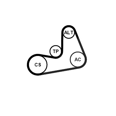 Continental Ctam Keilrippenriemensatz [Hersteller-Nr. 6PK986K2] für BMW von CONTINENTAL CTAM