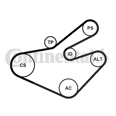 Continental Ctam Keilrippenriemensatz [Hersteller-Nr. 7PK1795K1] für Nissan, Opel, Renault von CONTINENTAL CTAM