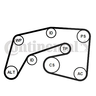 Continental Ctam Keilrippenriemensatz [Hersteller-Nr. 7PK2035K1] für Chrysler, Jeep, Mercedes-Benz von CONTINENTAL CTAM