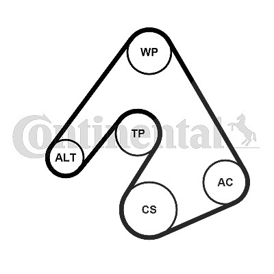 Continental Ctam Wasserpumpe + Keilrippenriemensatz [Hersteller-Nr. 5PK1207WP1] für Chevrolet, Opel, Vauxhall von CONTINENTAL CTAM