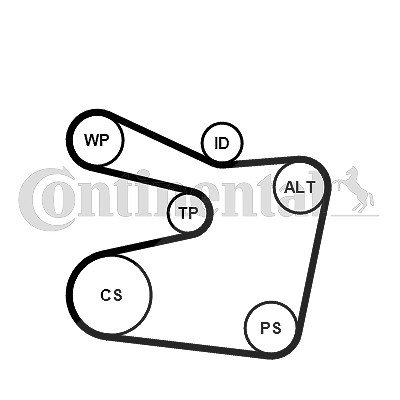 Continental Ctam Wasserpumpe + Keilrippenriemensatz [Hersteller-Nr. 6PK1555WP2] für BMW von CONTINENTAL CTAM