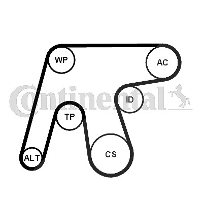 Continental Ctam Wasserpumpe + Keilrippenriemensatz [Hersteller-Nr. 6PK1642WP3] für Mercedes-Benz von CONTINENTAL CTAM