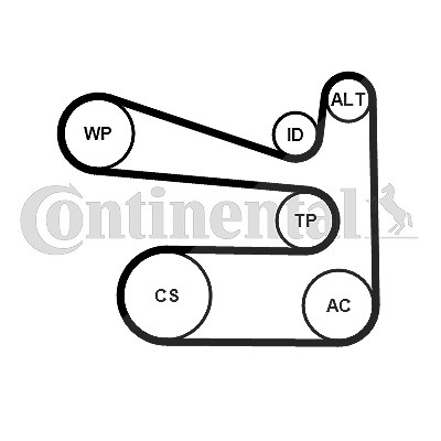 Continental Ctam Wasserpumpe + Keilrippenriemensatz [Hersteller-Nr. 6PK1693WP1] für Audi, Seat, Skoda, VW von CONTINENTAL CTAM