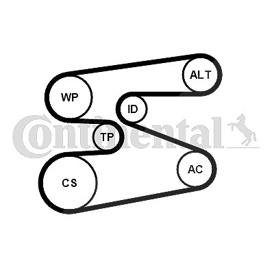 Continental Ctam Wasserpumpe + Keilrippenriemensatz [Hersteller-Nr. 6PK1698WP1] für BMW von CONTINENTAL CTAM