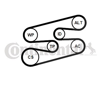 Continental Ctam Wasserpumpe + Keilrippenriemensatz [Hersteller-Nr. 6PK1780WP1] für BMW von CONTINENTAL CTAM