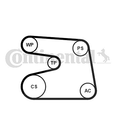 Continental Ctam Wasserpumpe + Keilrippenriemensatz [Hersteller-Nr. 6PK1873WP2] für Mercedes-Benz von CONTINENTAL CTAM