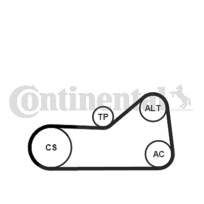 Continental Ctam Wasserpumpe + Keilrippenriemensatz [Hersteller-Nr. 6PK976WP1] für Seat, VW von CONTINENTAL CTAM