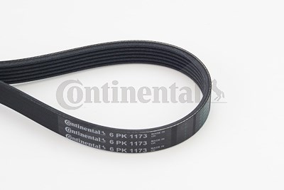 Continental Ctam Keilrippenriemen [Hersteller-Nr. 6PK1173] für Audi, BMW, Citroën, Dacia, Honda, Infiniti, Mini, Nissan, Renault, Toyota von CONTINENTAL CTAM