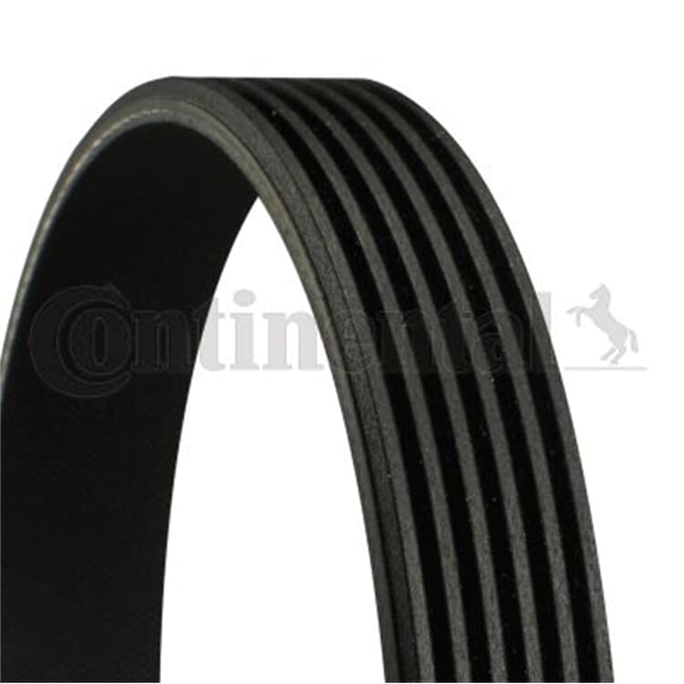 Conti Keilrippenriemen Mercedes R171 R230 C215 W220 S211 C124 A124 von CONTINENTAL CTAM