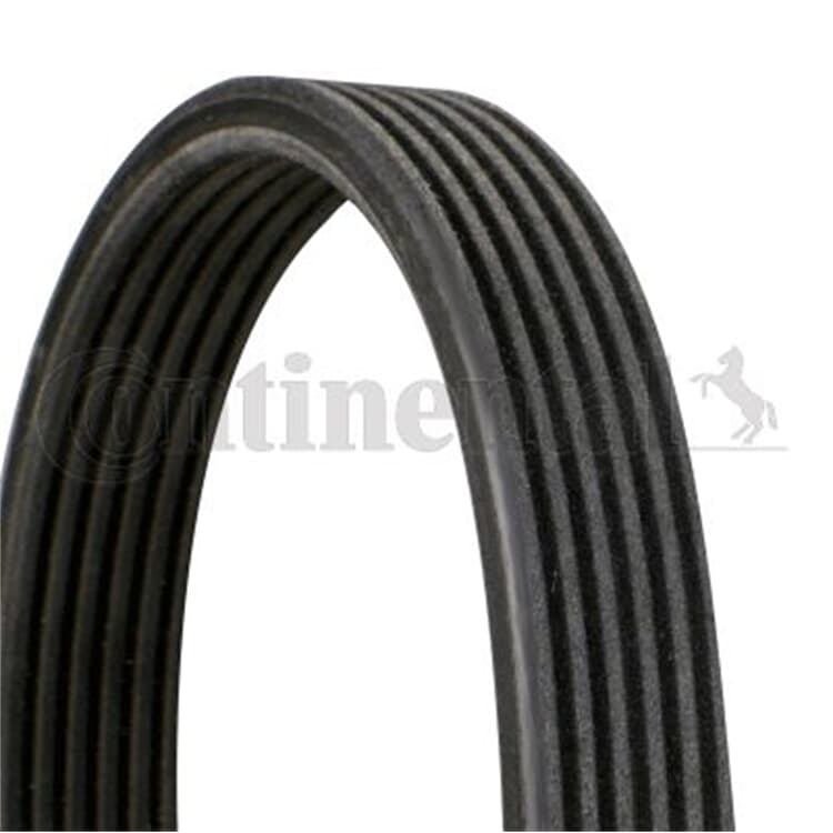 Conti Keilrippenriemen Volvo C70 S40 S60 S70 S80 V40 V70 Xc70 Xc90 von CONTINENTAL CTAM