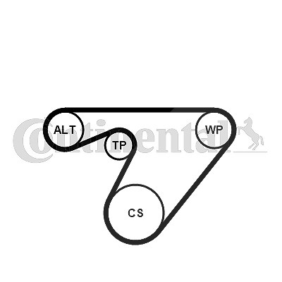 Continental Ctam Keilrippenriemensatz [Hersteller-Nr. 6PK1180K3] für Alfa Romeo, Fiat, Lancia, Opel von CONTINENTAL CTAM