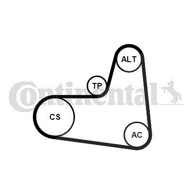 Continental Ctam Keilrippenriemensatz [Hersteller-Nr. 6PK995K1] für Audi, Seat, Skoda, VW von CONTINENTAL CTAM