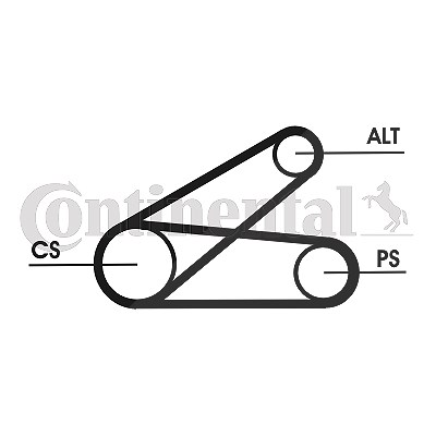 Continental Ctam Keilrippenriemensatz [Hersteller-Nr. 6PK873ELASTT1] für Citroën, Fiat, Ford, Peugeot von CONTINENTAL CTAM