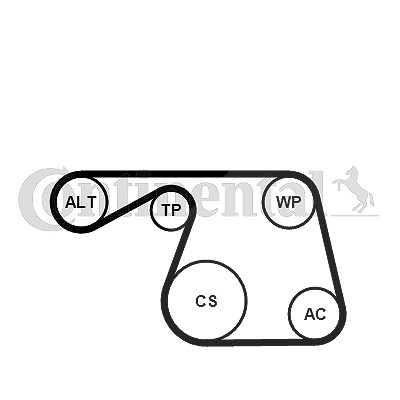 Continental Ctam Keilrippenriemensatz [Hersteller-Nr. 6PK1310K1] für Fiat, Lancia von CONTINENTAL CTAM