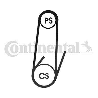 Continental Ctam Keilrippenriemensatz [Hersteller-Nr. 4PK1022ELASTT1] für Fiat von CONTINENTAL CTAM