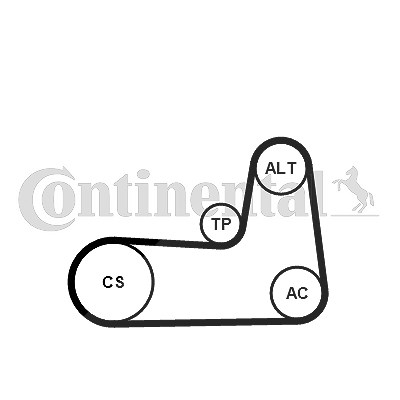 Continental Ctam Keilrippenriemensatz [Hersteller-Nr. 5PK1125K1] für Mitsubishi, Nissan, Opel, Renault von CONTINENTAL CTAM