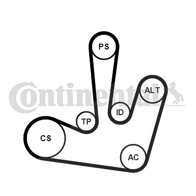 Continental Ctam Keilrippenriemensatz [Hersteller-Nr. 6PK1795K1] für Mitsubishi, Nissan, Opel, Renault von CONTINENTAL CTAM