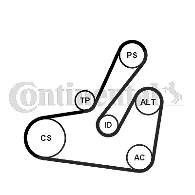 Continental Ctam Keilrippenriemensatz [Hersteller-Nr. 6PK1795K2] für Mitsubishi, Opel, Renault von CONTINENTAL CTAM