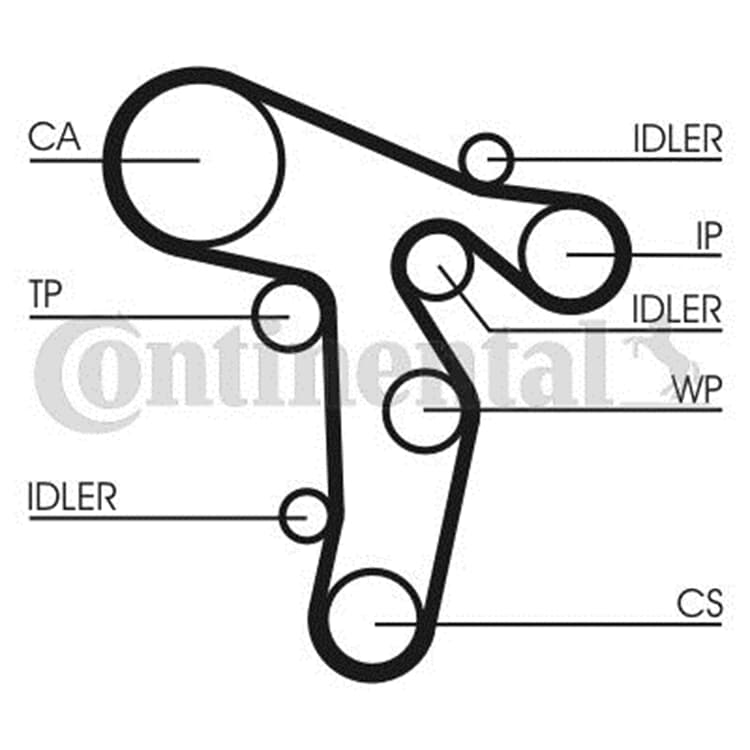 Conti Wasserpumpe Zahnriemensatz Audi A3 A4 A5 Seat Exeo VW Beetle Golf Plus Jetta von CONTINENTAL CTAM