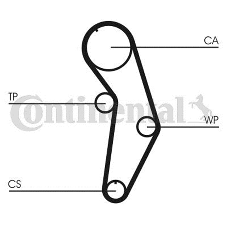 Conti Wasserpumpe Zahnriemensatz Audi A3 A4 Seat Altea Toledo Skoda Octavia VW Golf von CONTINENTAL CTAM