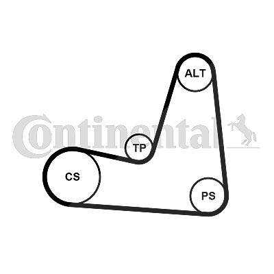 Continental Ctam Keilrippenriemensatz [Hersteller-Nr. 5PK1135K1] für Nissan, Renault von CONTINENTAL CTAM