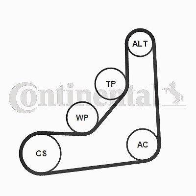 Continental Ctam Keilrippenriemensatz [Hersteller-Nr. 6PK1165K1] für BMW von CONTINENTAL CTAM