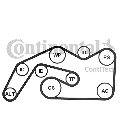 Continental Ctam Keilrippenriemensatz [Hersteller-Nr. 6PK2490K1] für Audi von CONTINENTAL CTAM