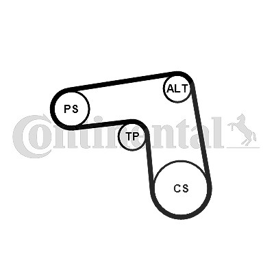 Continental Ctam Keilrippenriemensatz [Hersteller-Nr. 7PK1076K1] für Fiat von CONTINENTAL CTAM