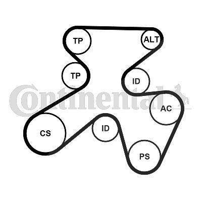 Continental Ctam Keilrippenriemensatz [Hersteller-Nr. 7PK1855K1] für BMW von CONTINENTAL CTAM